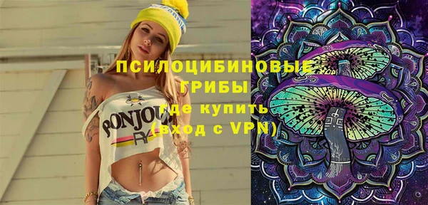 соль ск Балахна