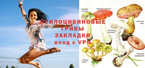 не бодяженный Аркадак